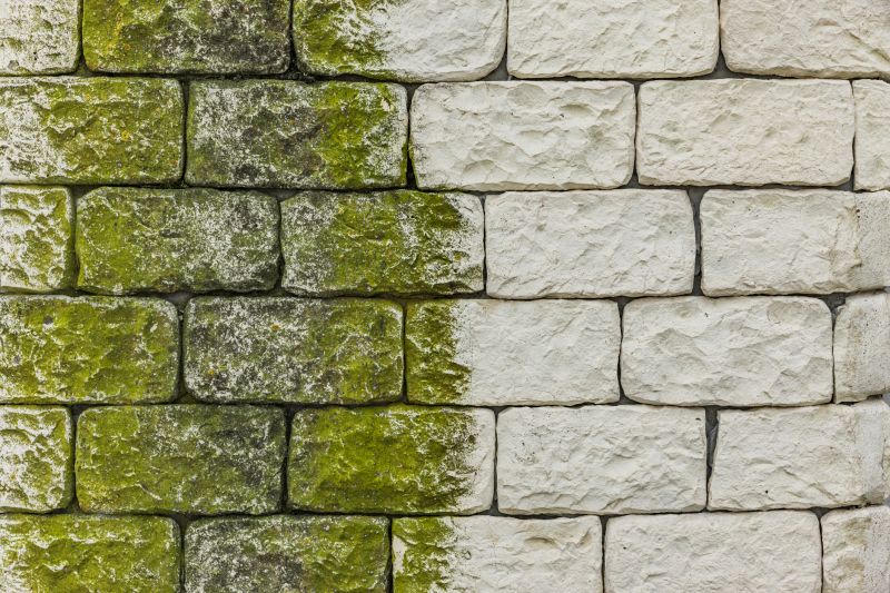 Clean Wall After Removal